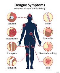 Fever & Dengue Treatment